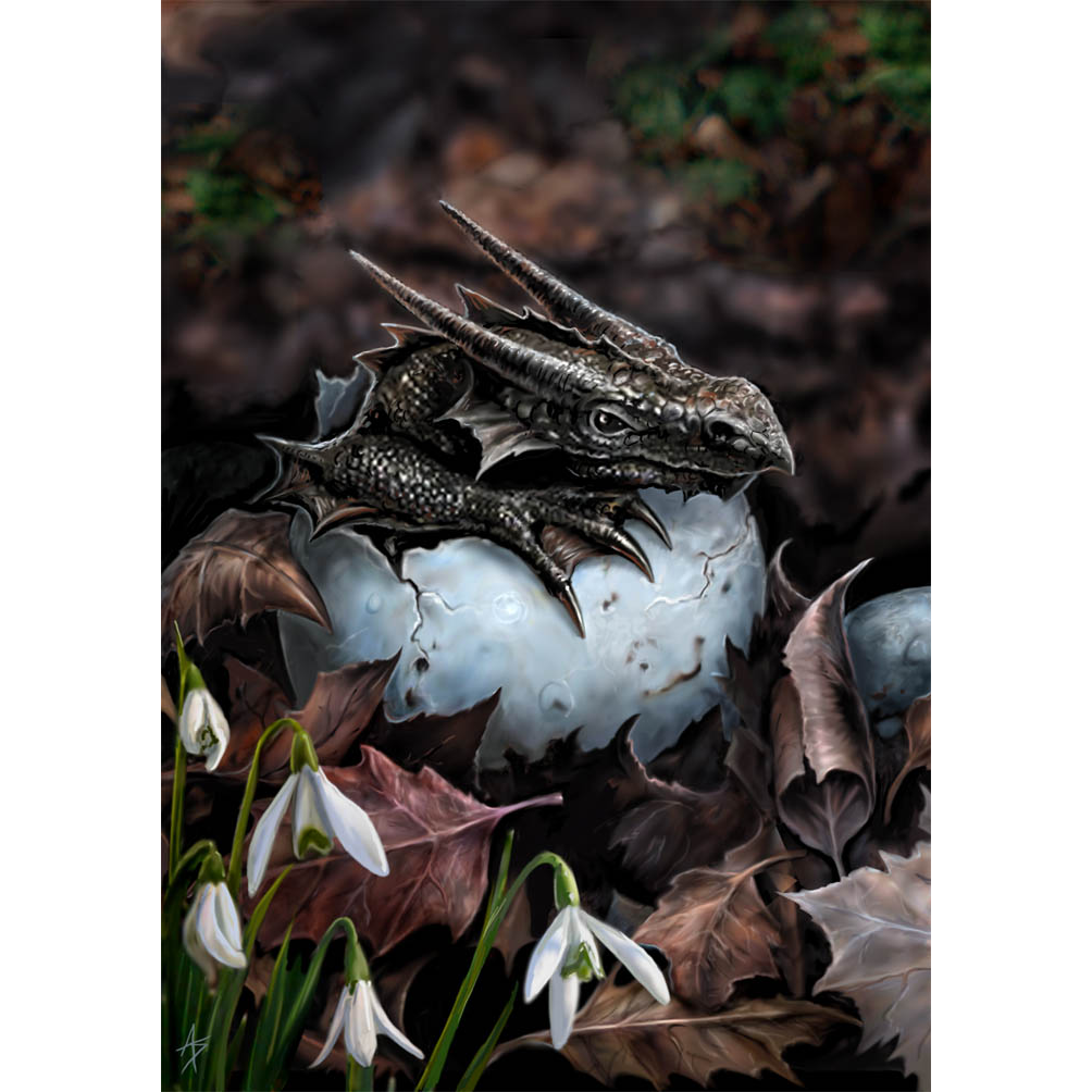 The Hatchling (ART29) - Imagus Print A4 Image in A3 Mount