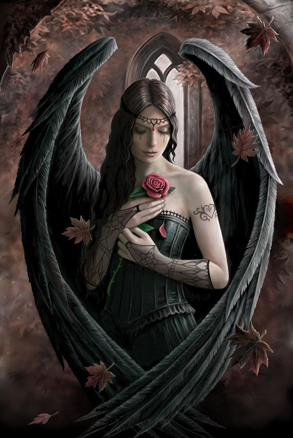 Angel Rose (AN36) 6 x Blank Greetings Cards