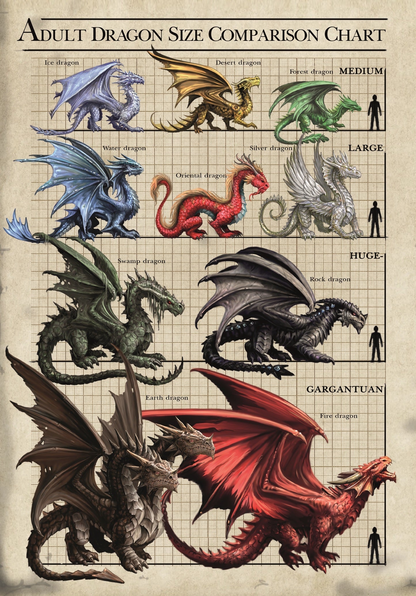 Dragon Size Chart (AN78) 6 x Blank Greetings Cards