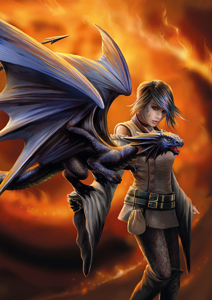 Dragon Trainer (AN91) 6 x Blank Greetings Cards