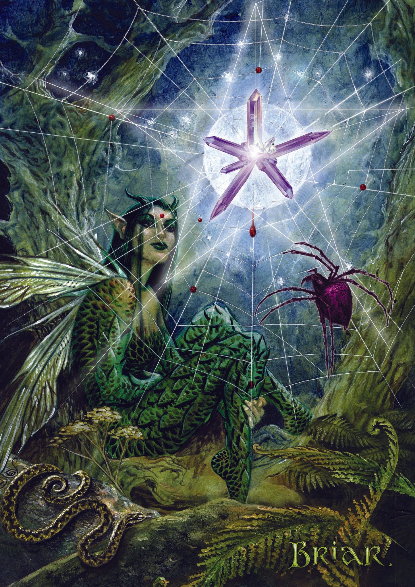 Web Of Wyrd (BM31) 6 x Blank Greetings Cards