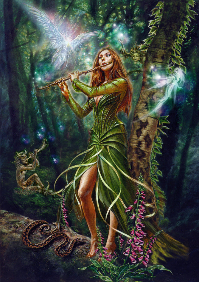 Faerie Reel (BM40) 6 x Blank Greetings Cards