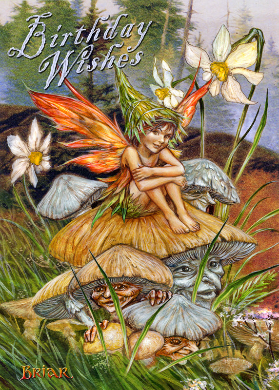 Mushroom Fairy (BM49) 6 x Birthday Greetings Cards