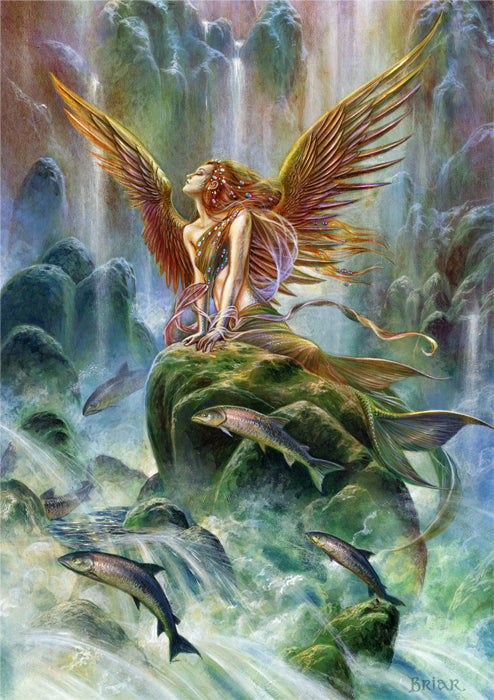 Water Angel (BM83) 6 x Blank Greetings Cards
