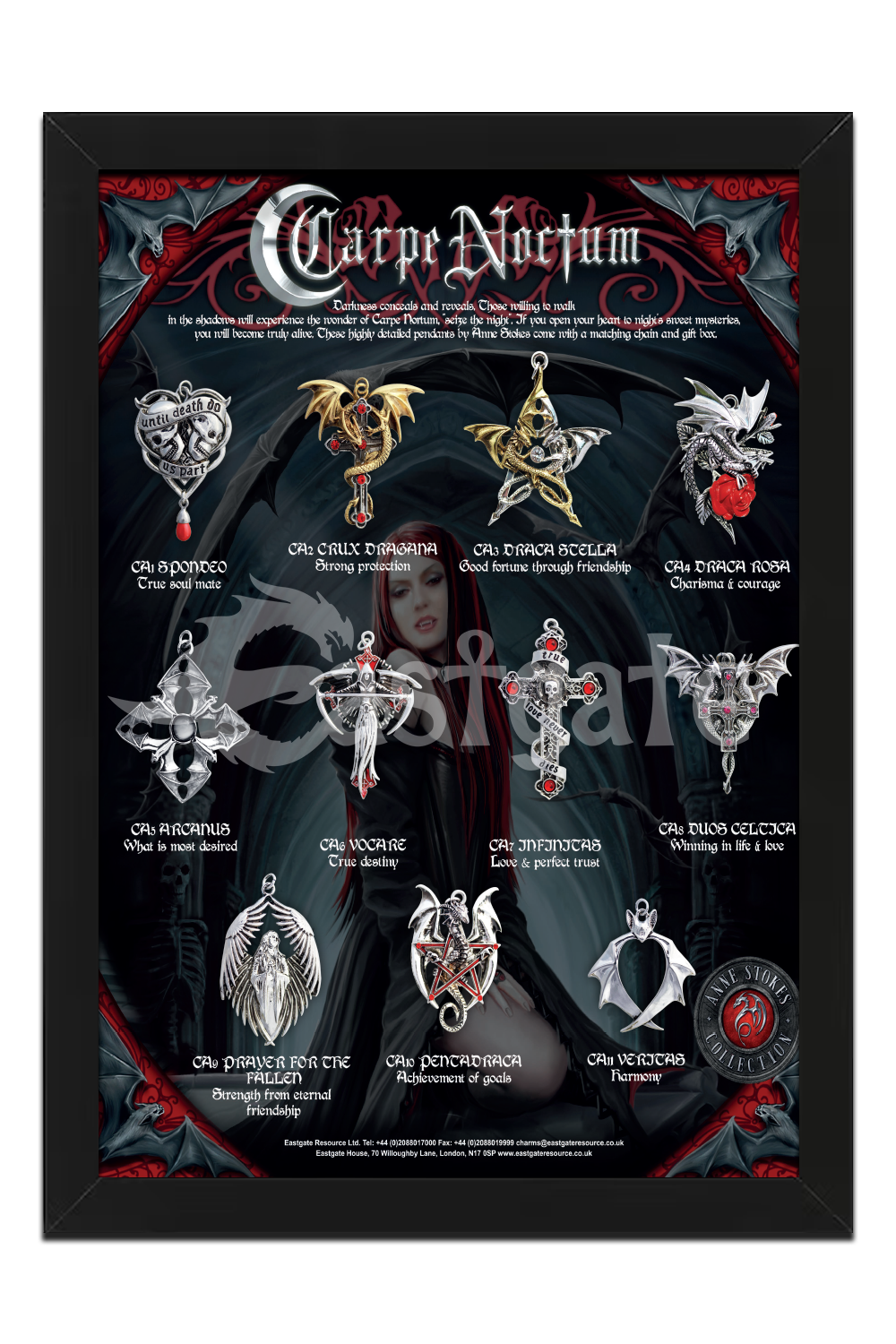 Carpe Noctum Display Board (CADB)