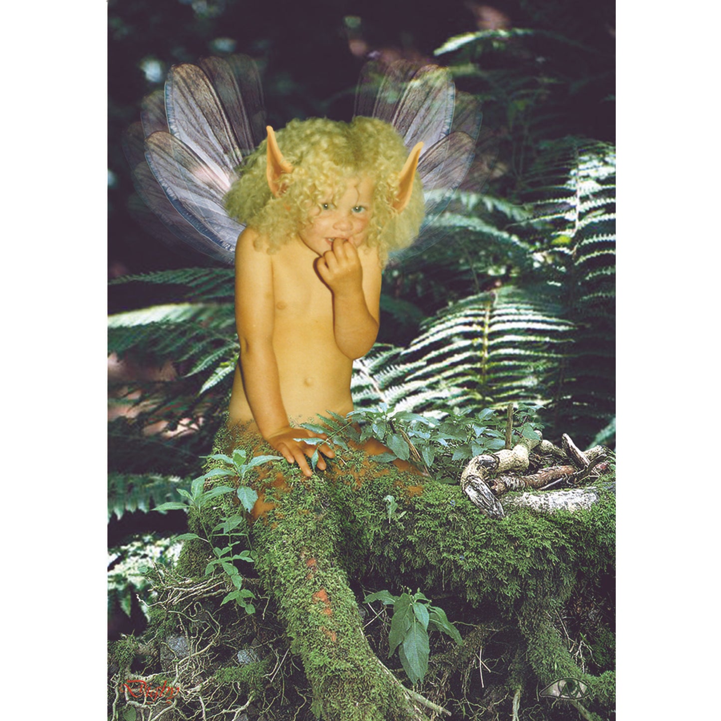 Innocence (FC05) - 6 x Blank Greetings Cards