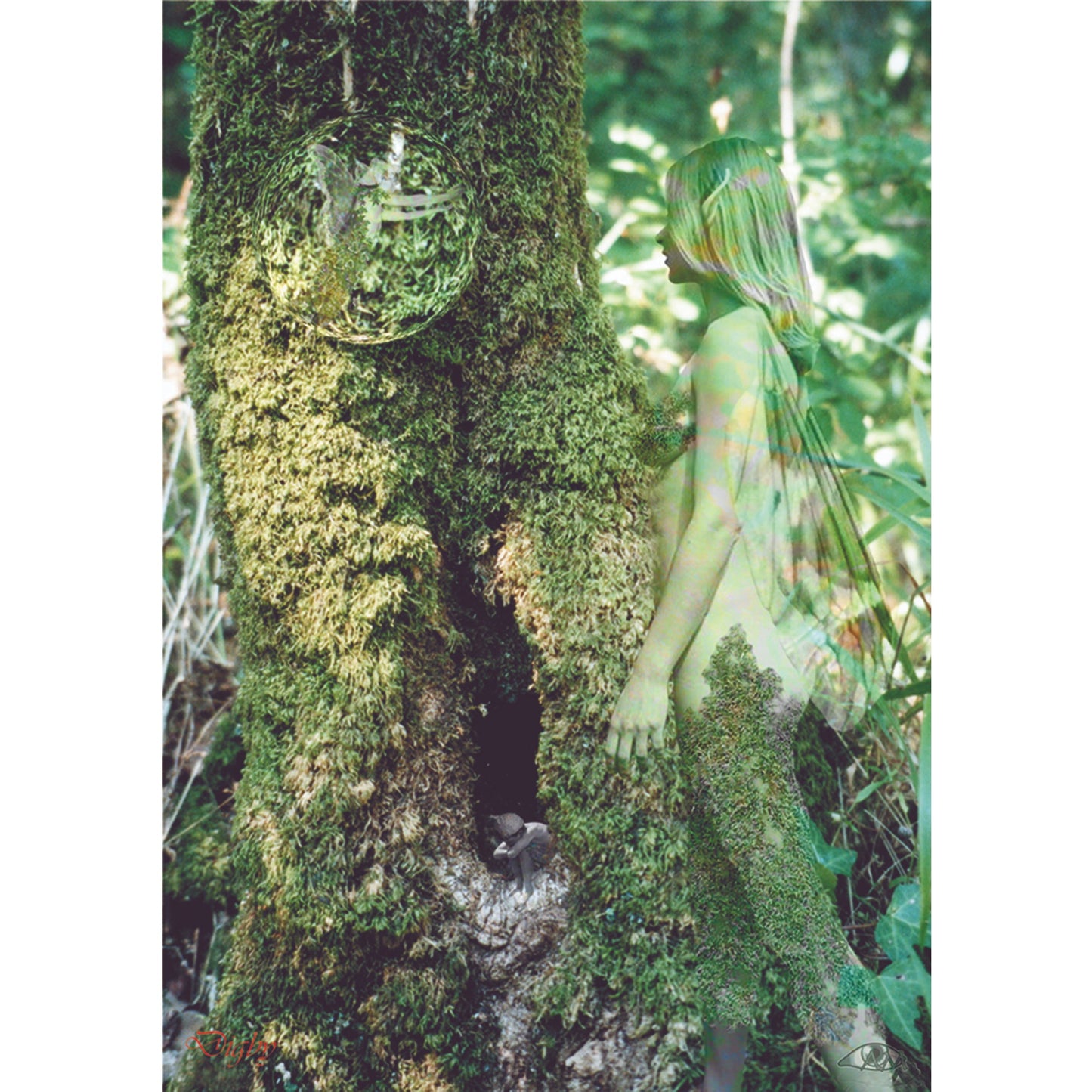 Merging (FC06) - 6 x Blank Greetings Cards