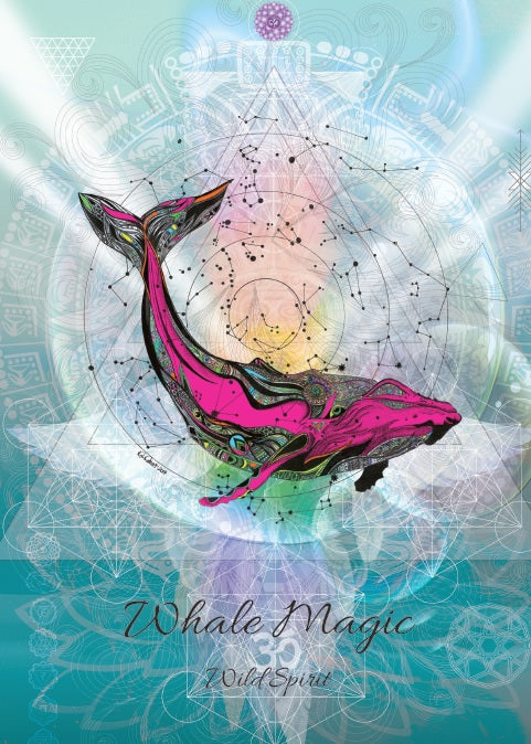 Whale Magic (KA2) For Wild Spirit - 6 x Blank Greetings Cards