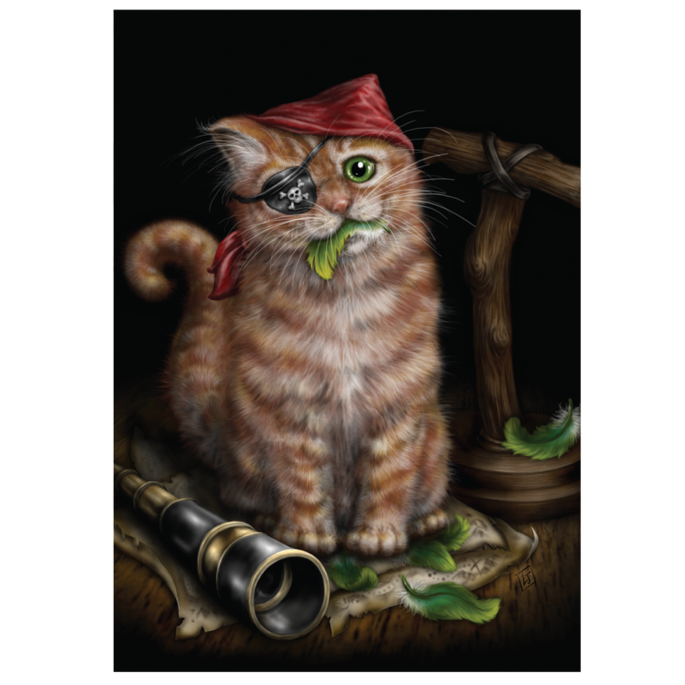 Pirate Kitten (SBD02) 6 x Blank Greetings Cards