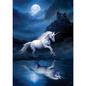 Moonlight Unicorn (ART40) - Imagus Print A4 Image in A3 Mount