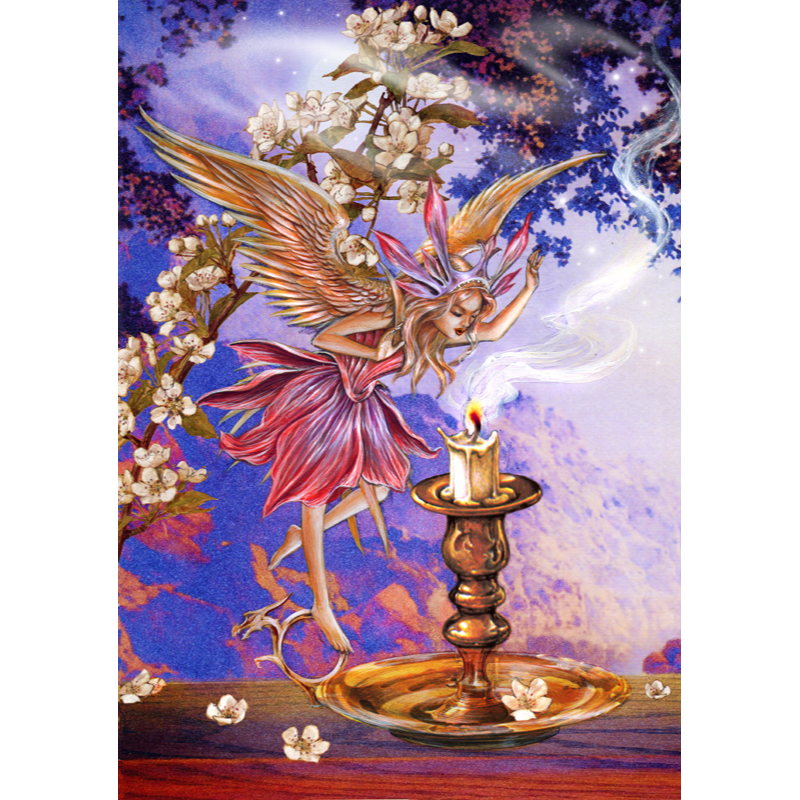 Make a Wish (ART48) - Imagus Print A4 Image in A3 Mount