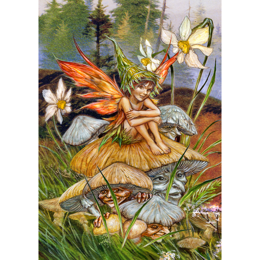 Mushroom Fairy (ART49) - Imagus Print A4 Image in A3 Mount