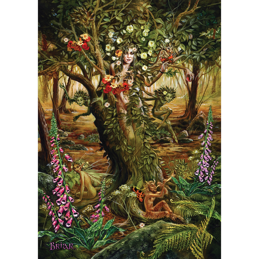 Dryad (ART20) - Imagus Print A4 Image in A3 Mount