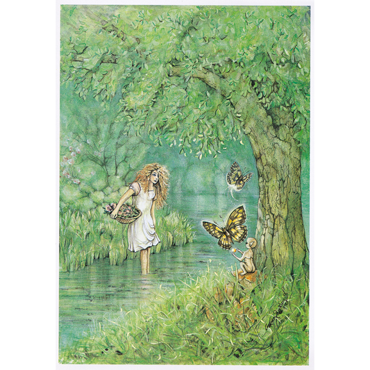Fairy Glade - Pack of 6 Enchanted Dreams Blank Greetings Card (1103)
