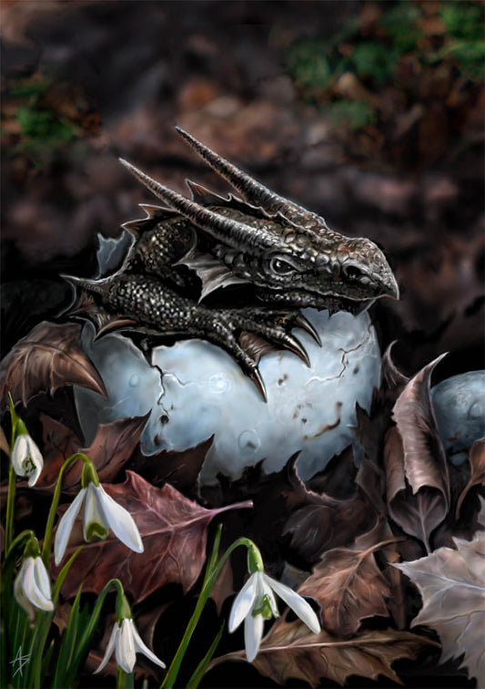 Hatchling (AN03) 6 x Blank Greetings Cards