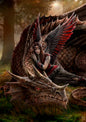 Winged Companions (AN06) 6 x Blank Greetings Cards