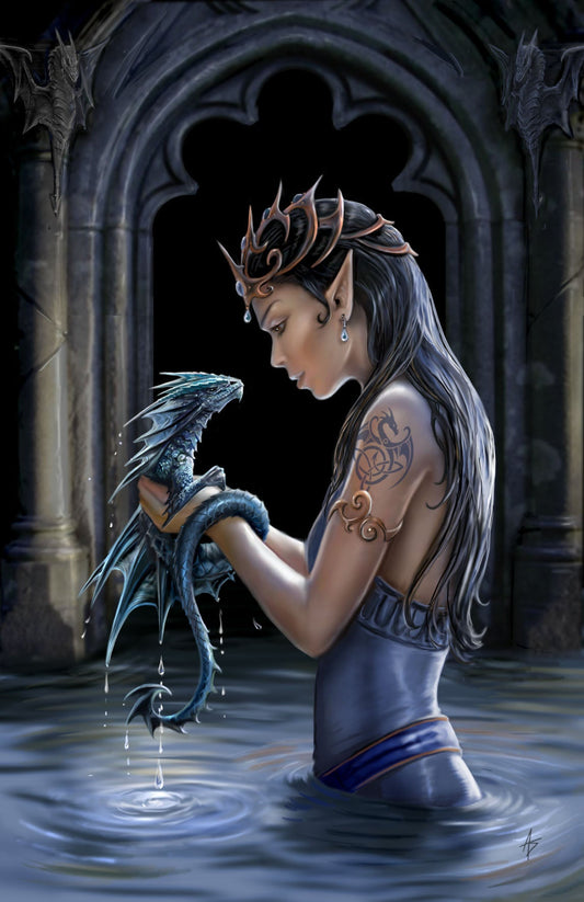 Water Dragon (AN24) 6 x Blank Greetings Cards