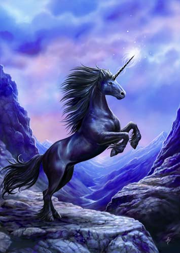 Greeting the Dawn (AN35) 6 x Blank Greetings Cards