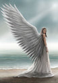 Spirit Guide (AN39) 6 x Blank Greetings Cards