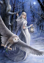 Midnight Messenger (AN40) 6 x Blank / Yule Greetings Cards