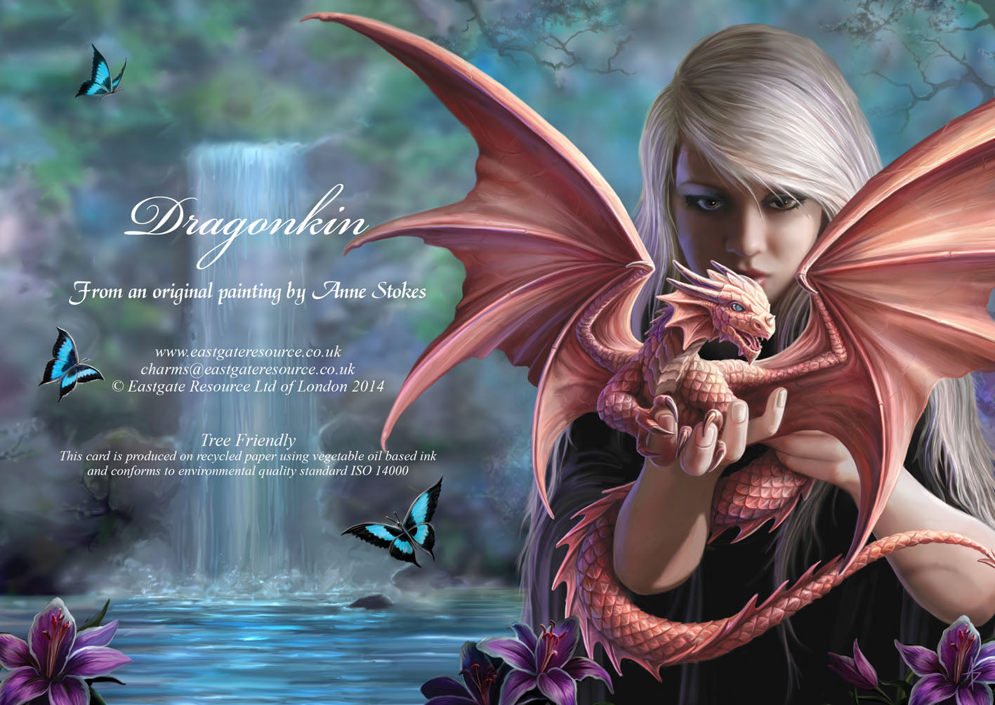 Dragonkin (AN47) 6 x Blank Greetings Cards