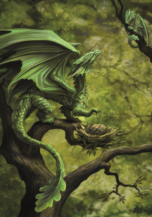Forest Dragon (AN75) 6 x Blank Greetings Cards