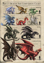 Dragon Size Chart (AN78) 6 x Blank Greetings Cards