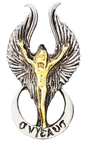 Angelus (BAF04) Pendant Necklace