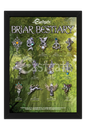 Briar Bestiary Display Board (BBDB)