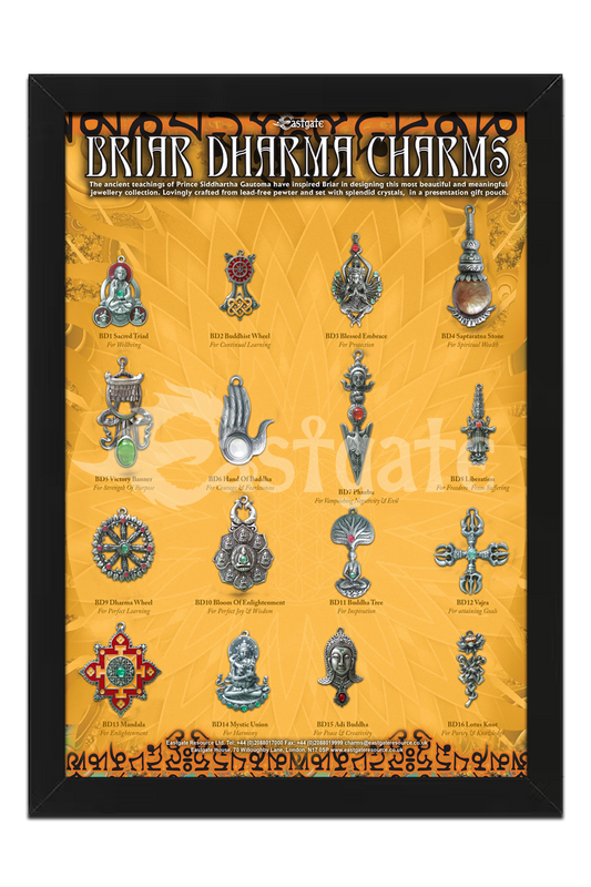 Briar Dharma Display Board (BDDB)