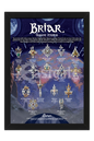 Briar Gemstones Display Board (BGDB)
