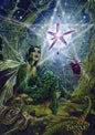 Web Of Wyrd (BM31) 6 x Blank Greetings Cards