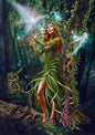 Faerie Reel (BM40) 6 x Blank Greetings Cards