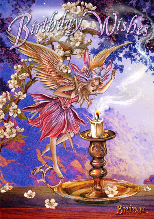 Make A Wish (BM48) 6 x Birthday Greetings Cards