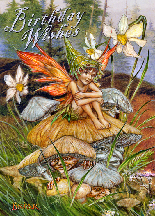 Mushroom Fairy (BM49) 6 x Birthday Greetings Cards