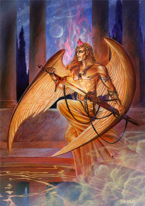 Fire Angel (BM81) 6 x Blank Greetings Cards
