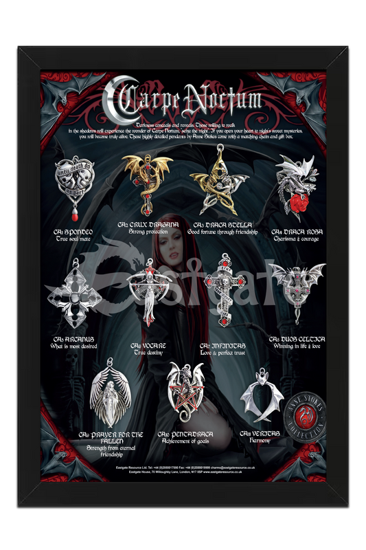Carpe Noctum Display Board (CADB)