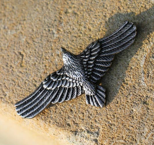 Fliegender Rabe