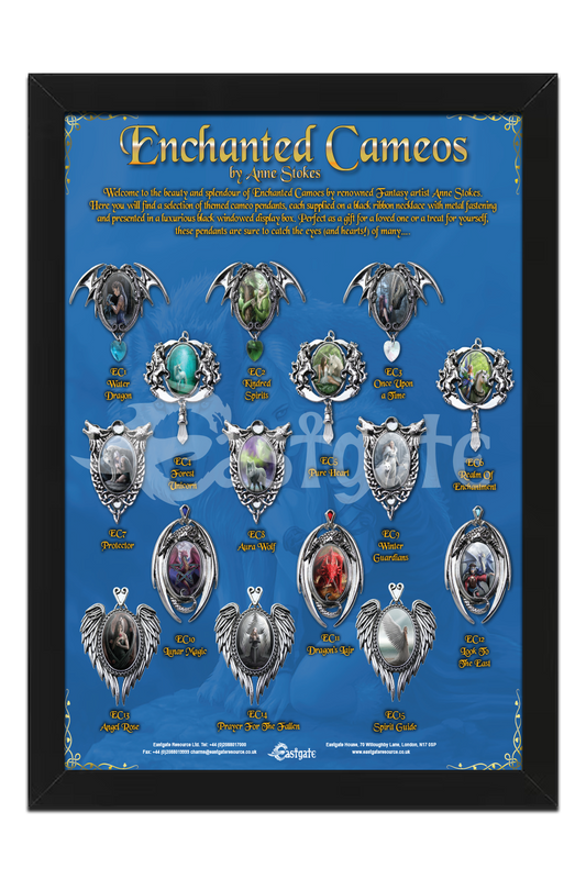 Enchanted Cameo Display Board (ECDB)