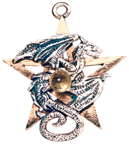 Dracogram (FB17) Pendant Charm Necklace