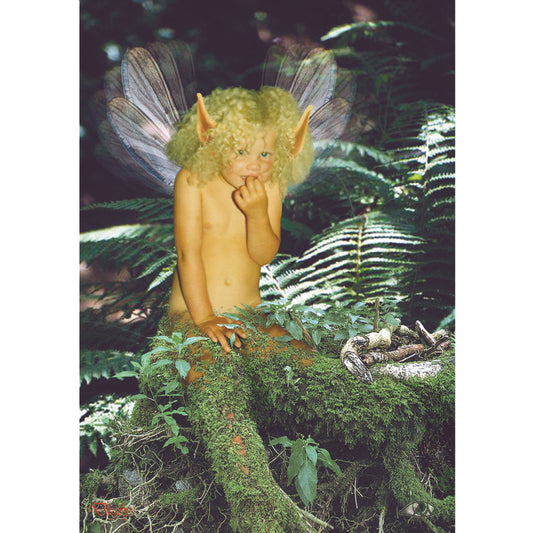 Innocence (FC05) - 6 x Blank Greetings Cards