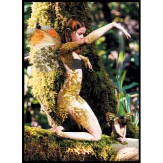 First Wings (FC12) - 6 x Blank Greetings Cards