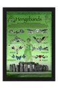 Hengebands Display Board (HBDB)