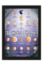 Magical Charms Display Board (MCDB)