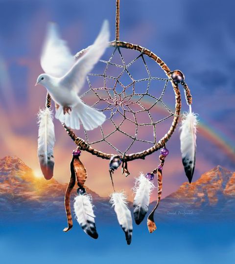 Dreamcatcher Dove - Pack of 6 Blank Greetings Card with Envelope (PF02)