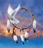 Dreamcatcher Dove - Pack of 6 Blank Greetings Card with Envelope (PF02)