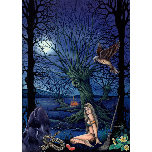 Willow - Pack of 6 Blank Greetings Card with Envelope (PP11)