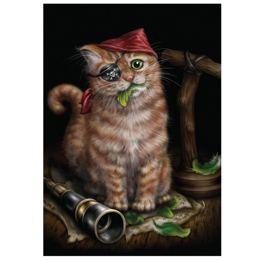 Pirate Kitten (SBD02) 6 x Blank Greetings Cards