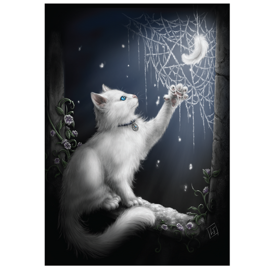 Snow Kitten (SBD03) 6 x Blank Greetings Cards