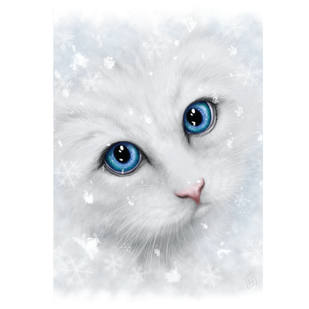 Winter Cat (SBD04) 6 x Blank Greetings Cards